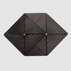 Bicho Linear - Lygia Clark